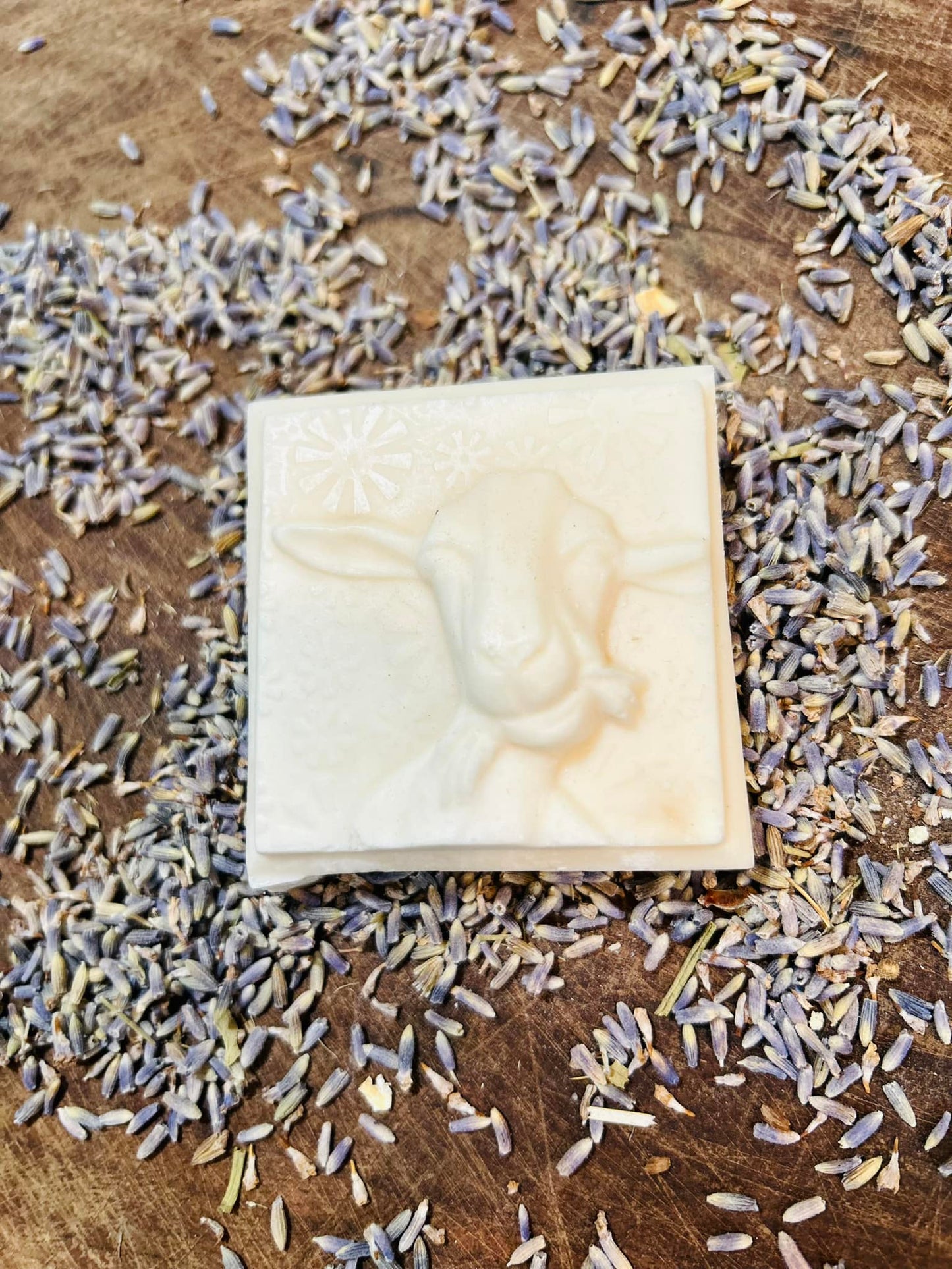 Lavender Forest Soap