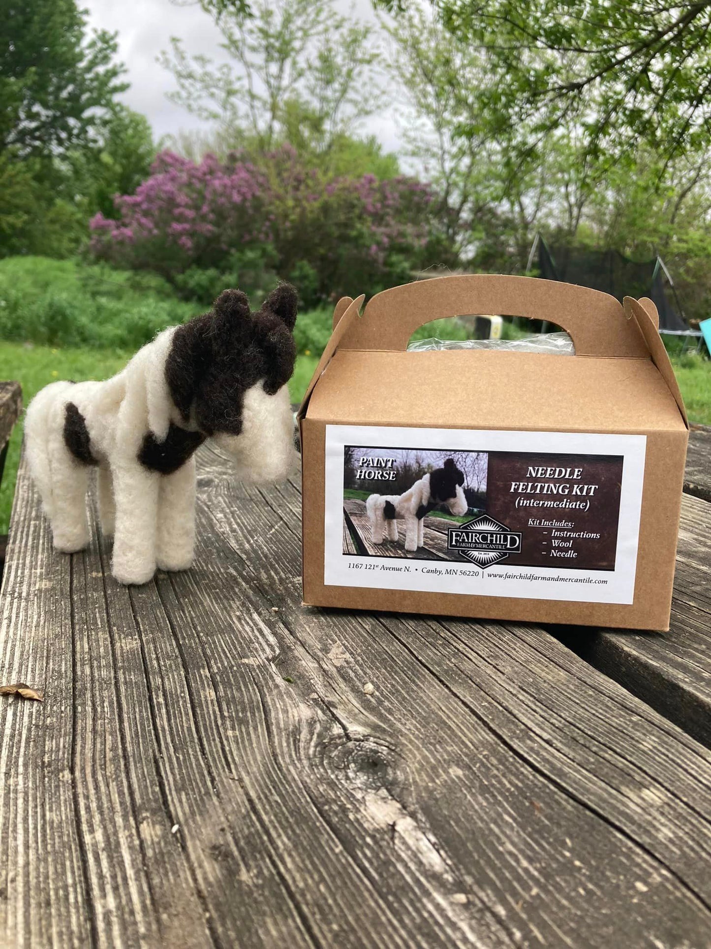Paint Horse Needle Felting Kit