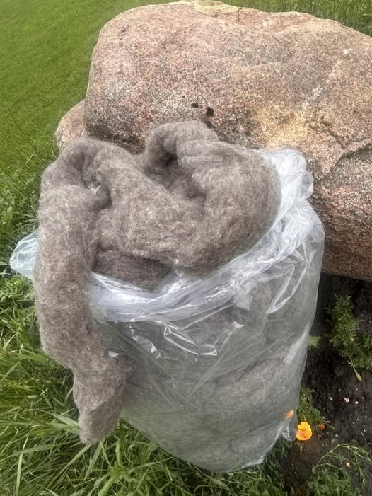 Gray Wool Roving