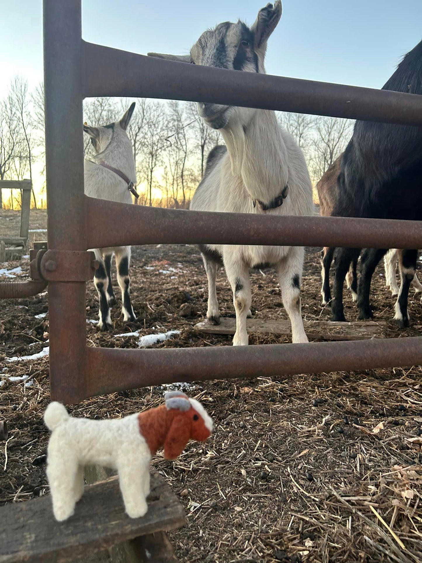 Boer Goat Kit