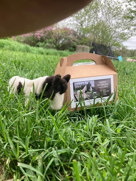 Paint Horse Needle Felting Kit