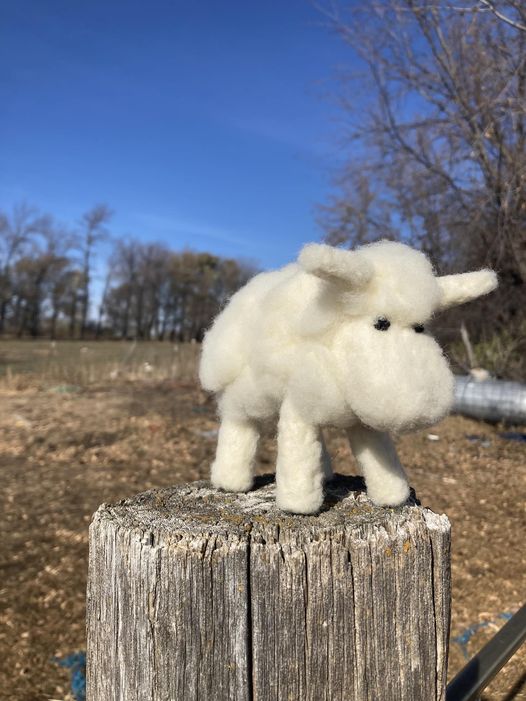 Western White Face Sheep Needle Felting Kit